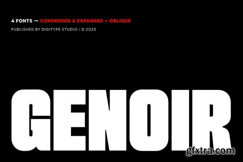 CreativeMarket - Genoir Bold Display Font Family