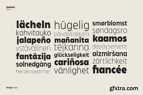 CreativeMarket - Zariantz Book Typeface - 22 Fonts