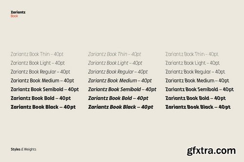 CreativeMarket - Zariantz Book Typeface - 22 Fonts
