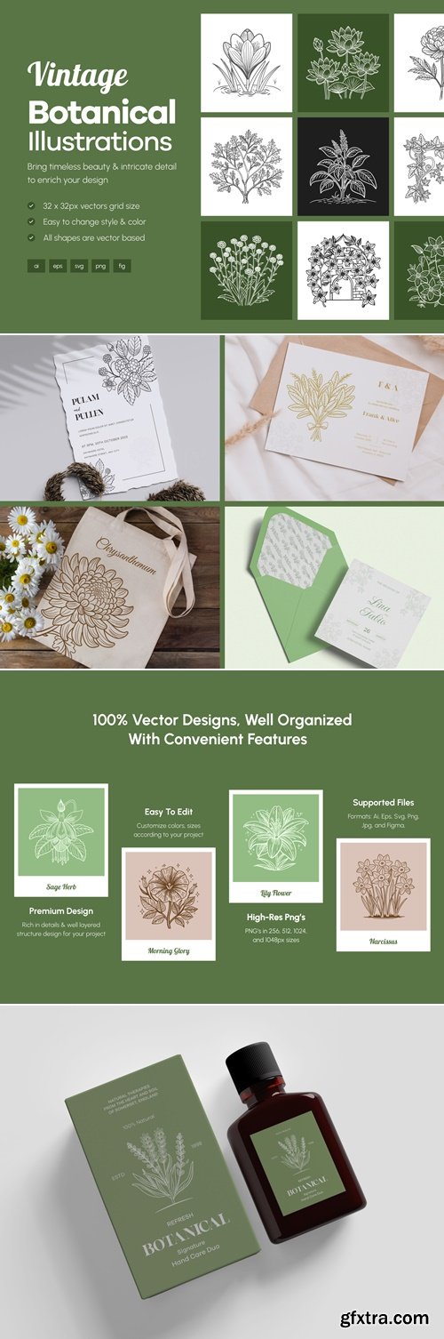 Craftwork  Design - Floral and Botanical Illustration Set