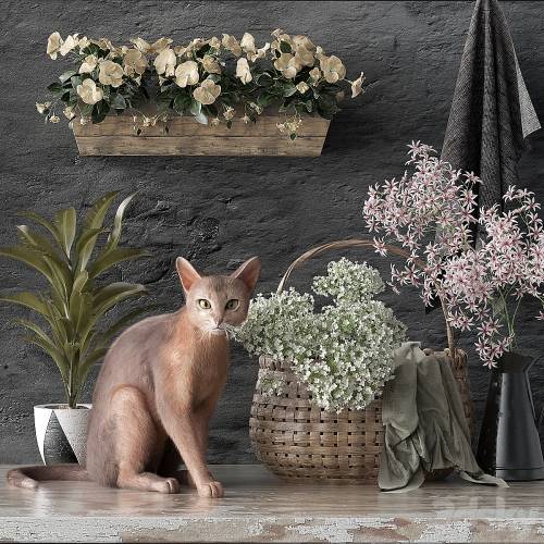 '3dsky Pro - Decorative set 5'