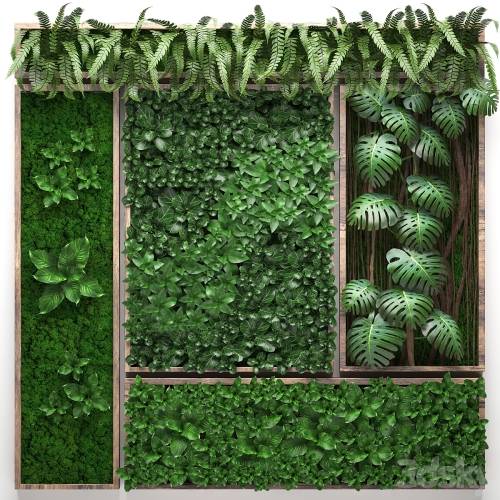 '3dsky Pro - Vertical garden 22. Five separate modules, landscaping, phytowall, phytomodule, monstera, fern, eco design, natural decor'