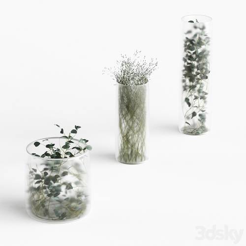 '3dsky Pro - Plants in frosted vases'