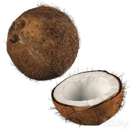 '3dsky Pro - 4k coconut 02'
