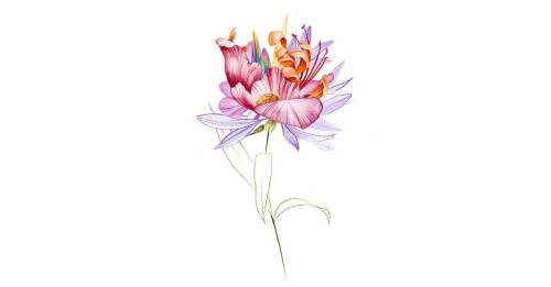 'Domestika - Fantasy Floral Tattoo Design'