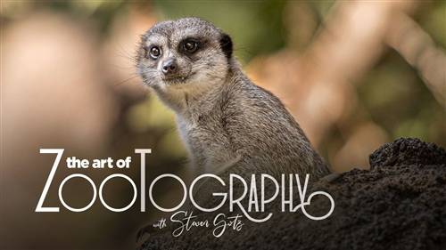 'KelbyOne - The Art of Zootography'