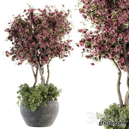 3dsky Pro - Outdoor Plant Set 352- Purple Flower Tree in Old Pot