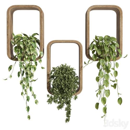'3dsky Pro - hanging plants on a box'