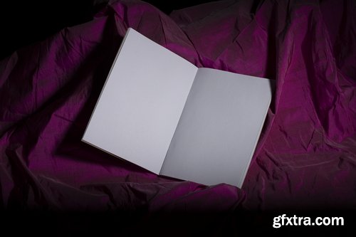 Format Mockup Collections