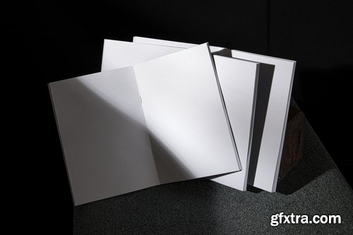 Format Mockup Collections