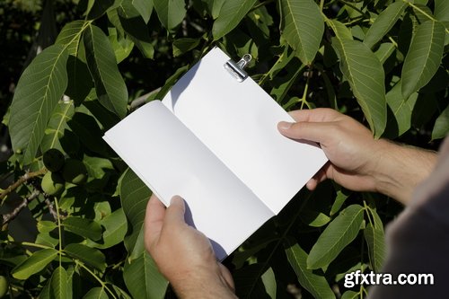 Format Mockup Collections