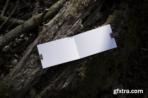 Format Mockup Collections