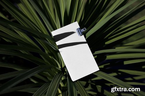 Format Mockup Collections