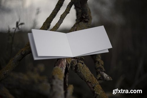 Format Mockup Collections