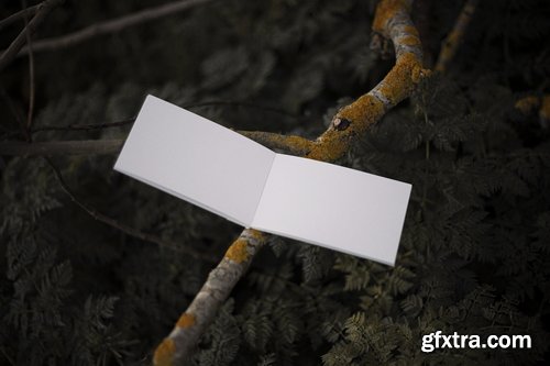 Format Mockup Collections