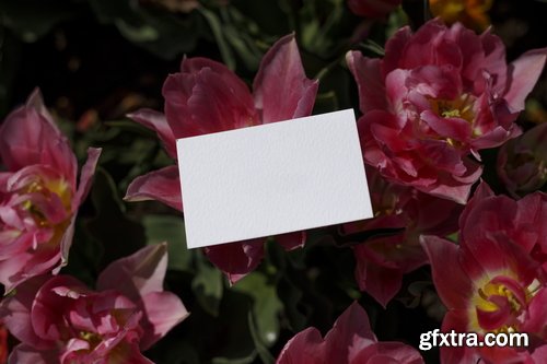 Format Mockup Collections