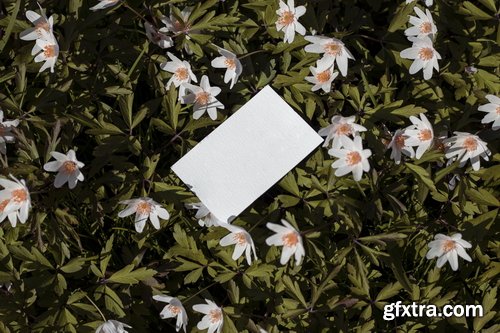 Format Mockup Collections