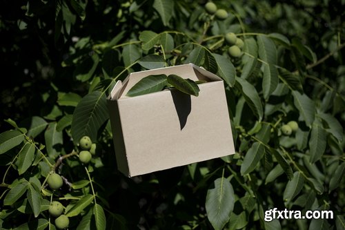 Format Mockup Collections