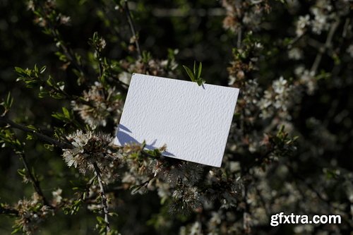 Format Mockup Collections