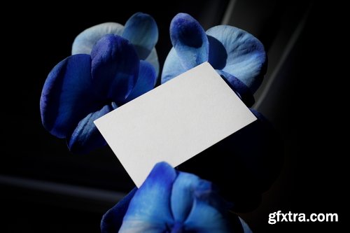 Format Mockup Collections