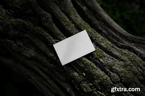 Format Mockup Collections