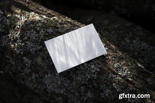 Format Mockup Collections