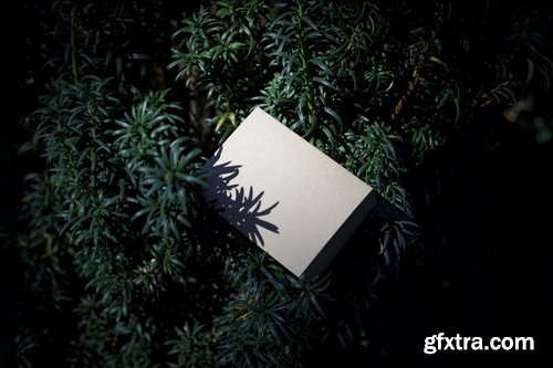 Format Mockup Collections