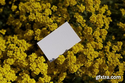 Format Mockup Collections