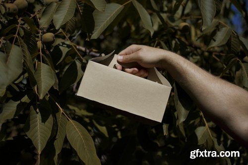 Format Mockup Collections