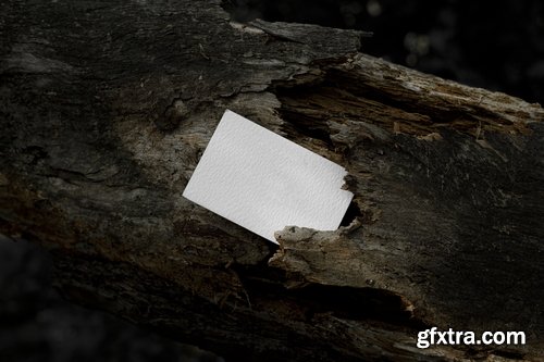 Format Mockup Collections