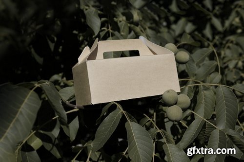 Format Mockup Collections