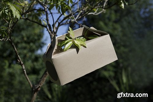 Format Mockup Collections