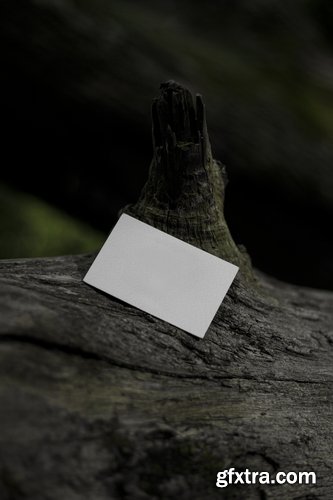 Format Mockup Collections