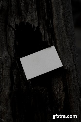 Format Mockup Collections