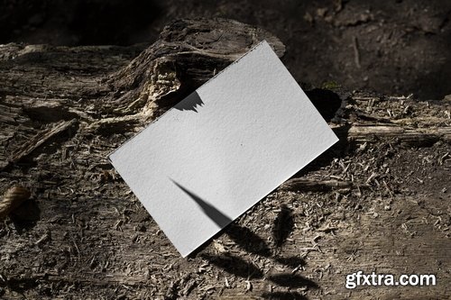 Format Mockup Collections