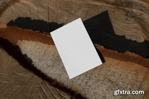 Format Mockup Collections