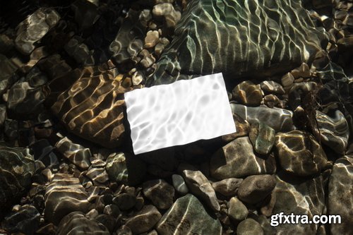 Format Mockup Collections