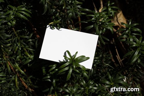 Format Mockup Collections