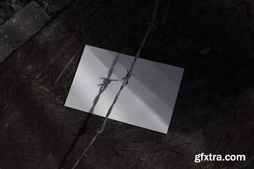 Format Mockup Collections