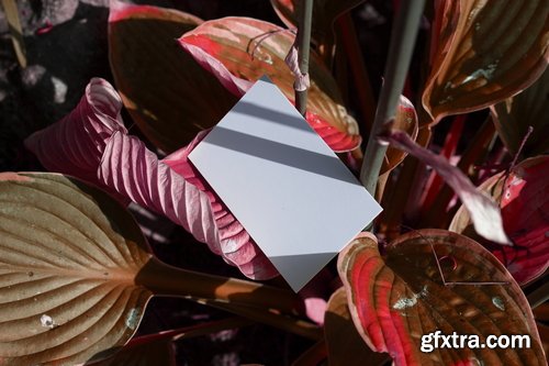 Format Mockup Collections