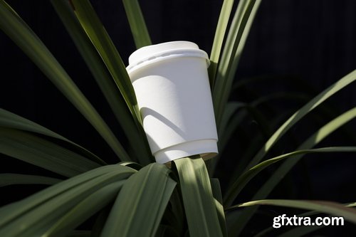 Format Mockup Collections