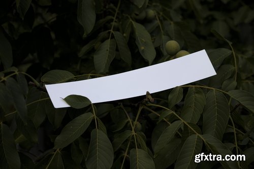 Format Mockup Collections