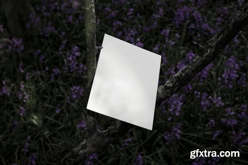 Format Mockup Collections