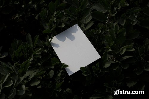 Format Mockup Collections