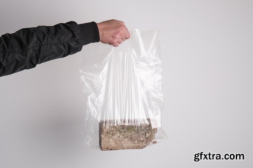 Format Mockup Collections