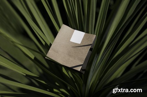 Format Mockup Collections