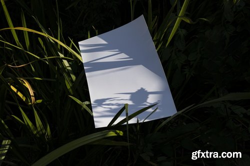 Format Mockup Collections