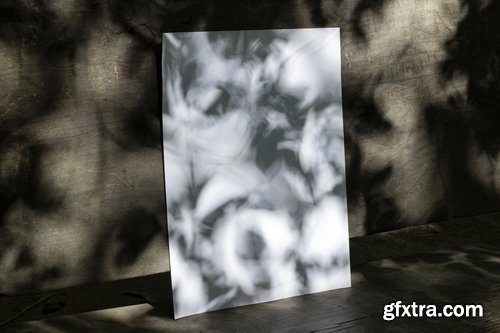 Format Mockup Collections