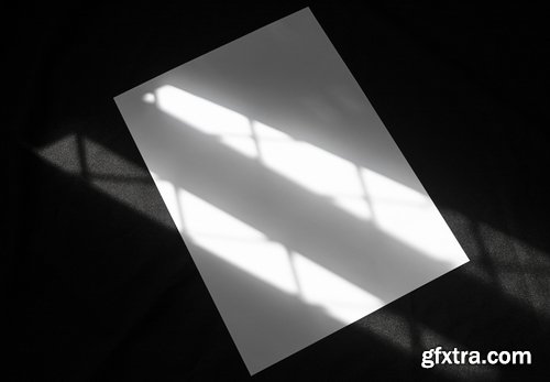 Format Mockup Collections