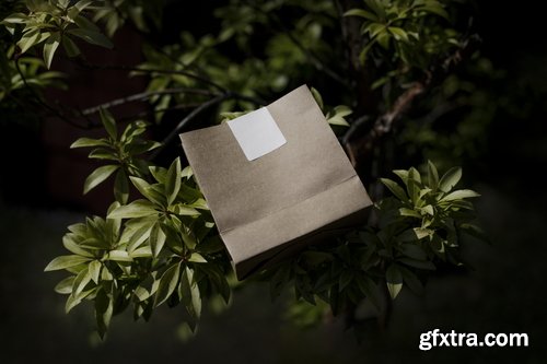 Format Mockup Collections